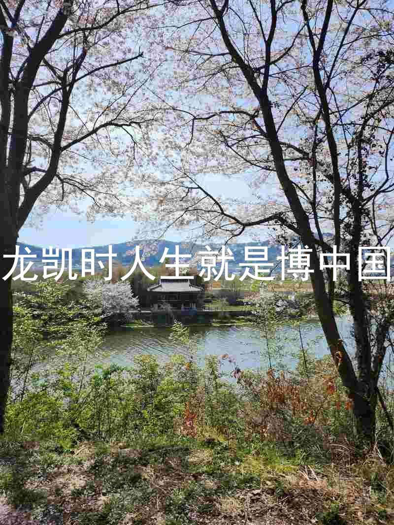 尊龙凯时人生就是博中国区