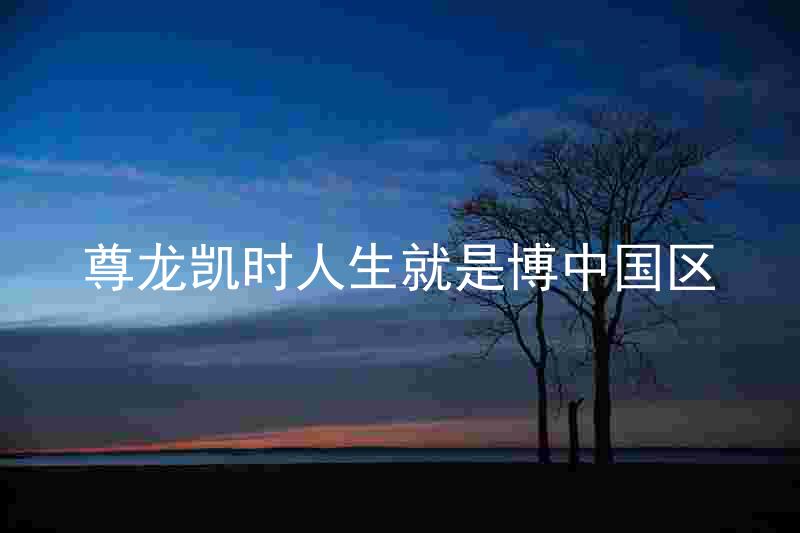 尊龙凯时人生就是博中国区