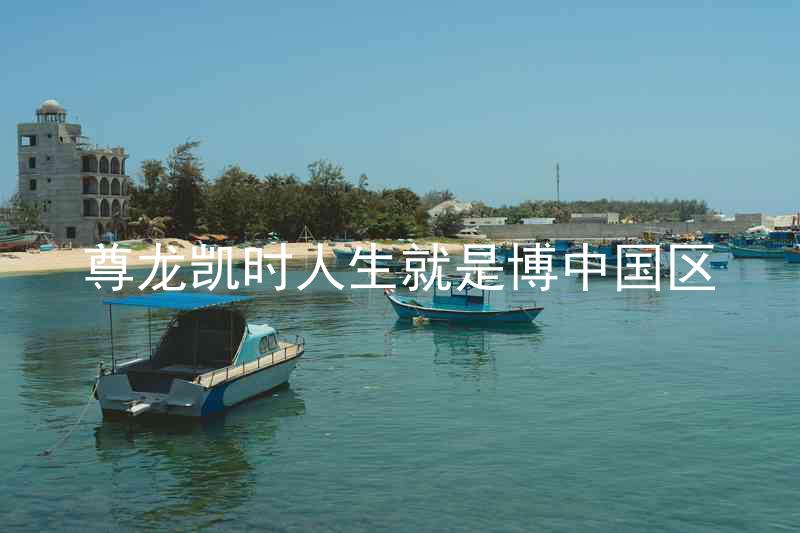 尊龙凯时人生就是博中国区