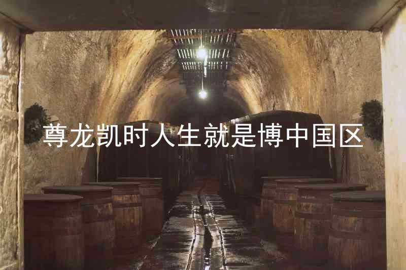 尊龙凯时人生就是博中国区